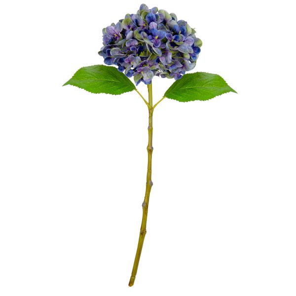 Small Head Hydrangea Purple Green