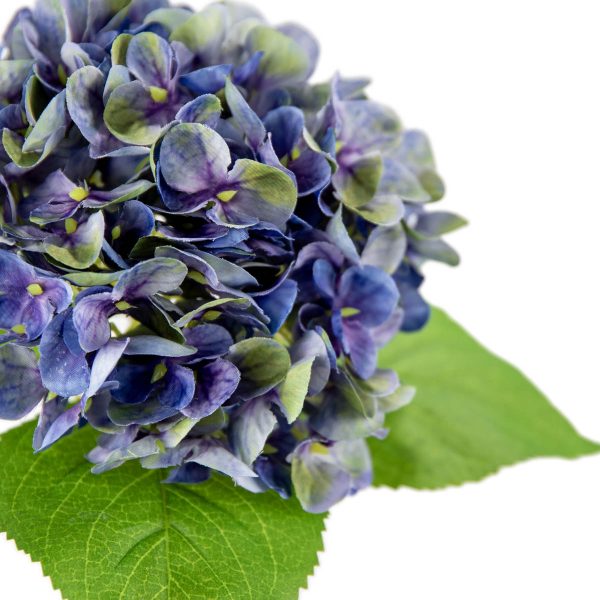 Small Head Hydrangea Purple Green