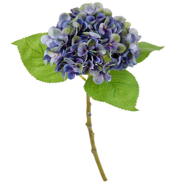 Small Head Hydrangea Purple Green