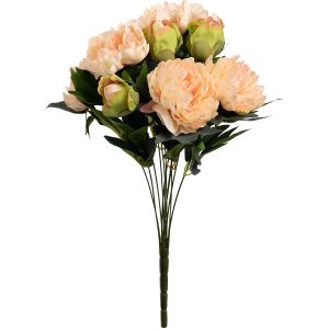 Peony-48cm-Bush-Coral