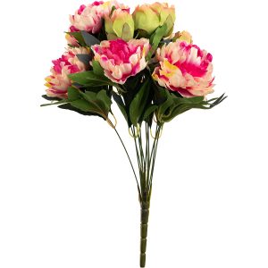 Peony-48cm-Bush2-Tone-Pink