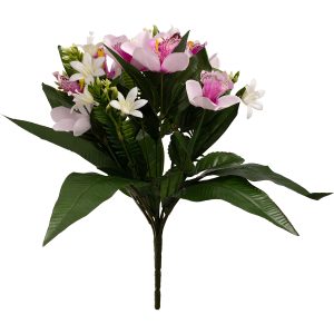 Orchid-Bush-37cm-White-Purple