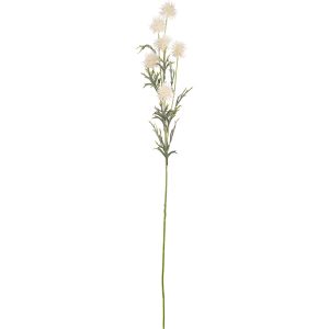 Collina Thistle Spray 80cm White