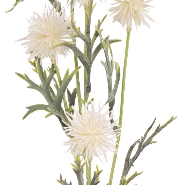 Collina Thistle Spray 80cm White