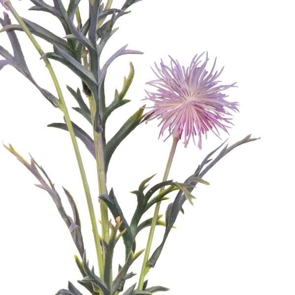 Collina Thistle Spray 80cm Purple