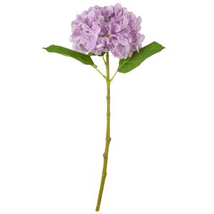 Small Head Hydrangea Pastel Lilac