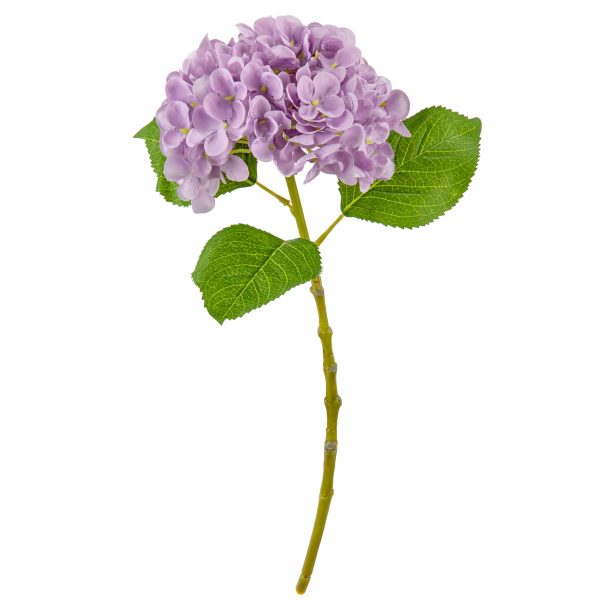 Small Head Hydrangea Pastel Lilac