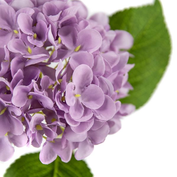 Small Head Hydrangea Pastel Lilac