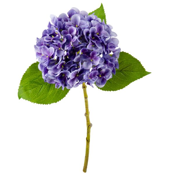 Hydrangea Lavender