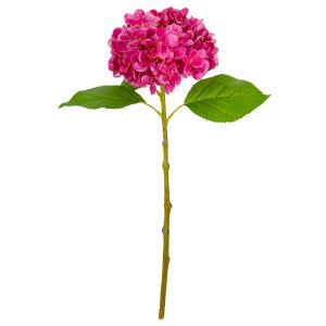 Small Head Hydrangea Fuchsia