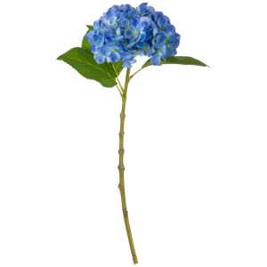 Small Head Hydrangea Blue