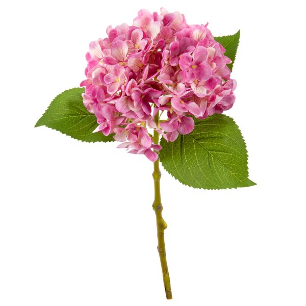 Small Head Hydrangea Pretty Pink