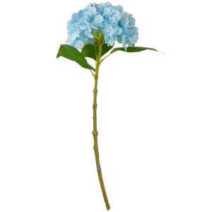 Small Head Hydrangea Light Blue